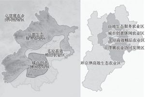 图1 北京“十三五规划”中都市现代农业“五区”布局
