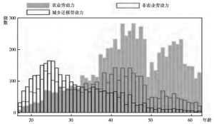 图3b 2012年农村户口劳动力中迁移者数量和非农领域劳动力数量