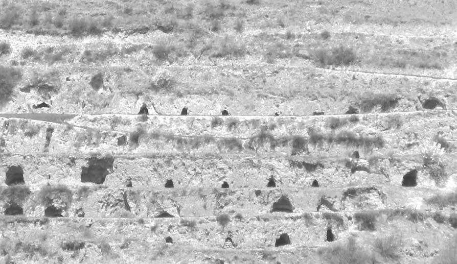 图5-4 民工自挖的窑洞外形（九甸峡至会川段）