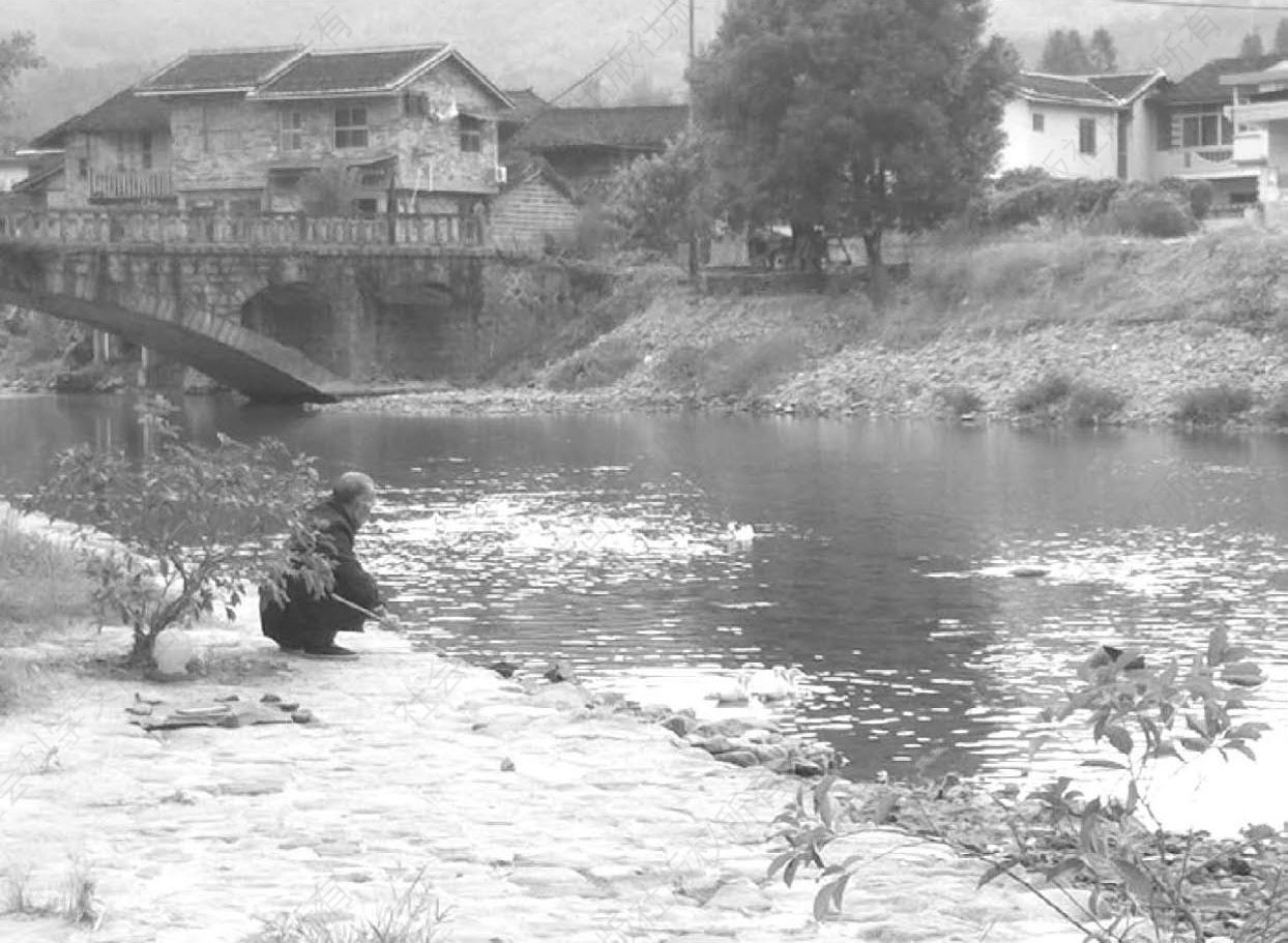 图1-1 老人在梅溪河畔放牧鸭子