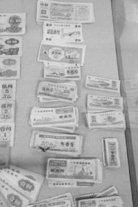 图3-1-2 历史上，中国社会使用过的各种粮票（赵周贤摄）