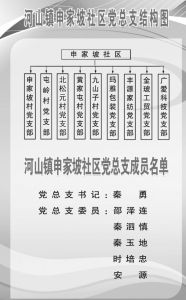 图4-2 河山镇申家坡社区党总支结构