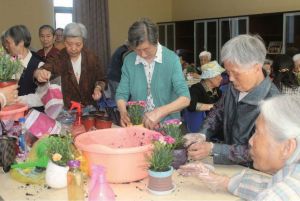 老年人在福利院学习种花