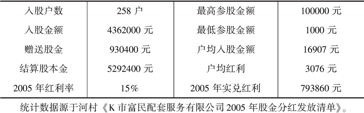 表6-4 2005年河村富民公司资产统计