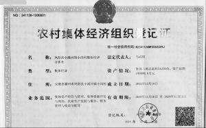 图1-10 安徽省凤阳县小岗村股份经济合作社登记证书