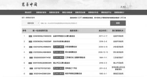 图2 “慈善中国”慈善组织查询页面