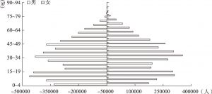 图0-1 2005年1%人口抽样调查中国农村人口年龄金字塔