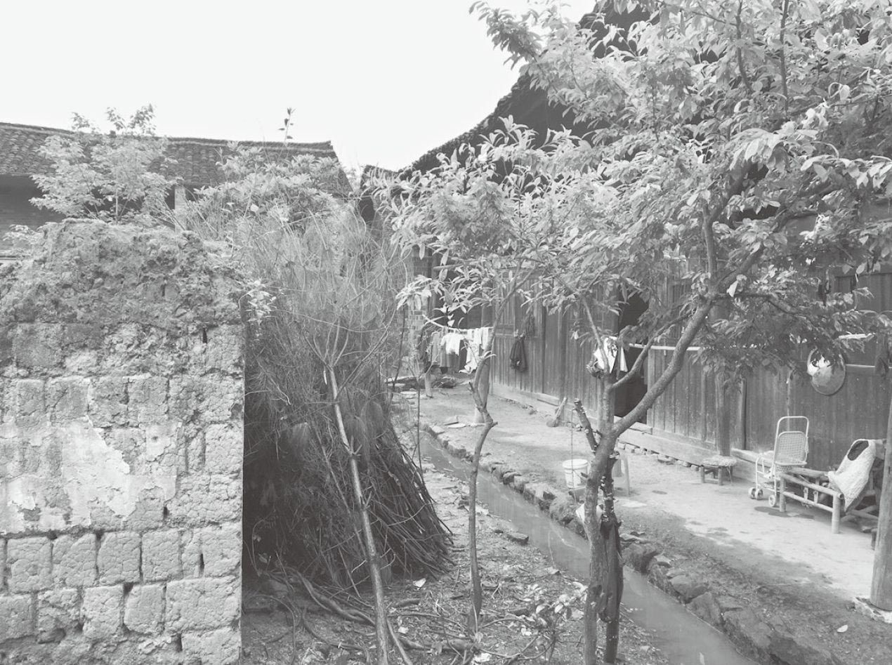 图1-3 长乐村一处民房前淤积的脏水