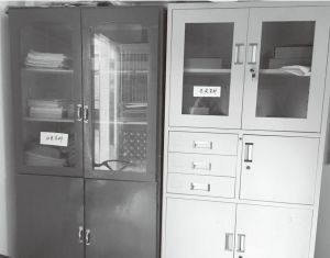 图1-11 长乐村专门设置的党建资料柜和扶贫资料柜