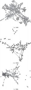 附图3-7 非正式信息交流网络拓扑结构