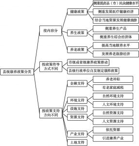 图1 县级康养政策发展模式分类