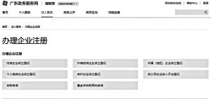 图6 深圳市办理企业注册服务界面