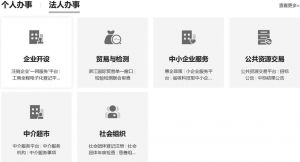 图11（3） 宁波市政府门户网站法人办事界面