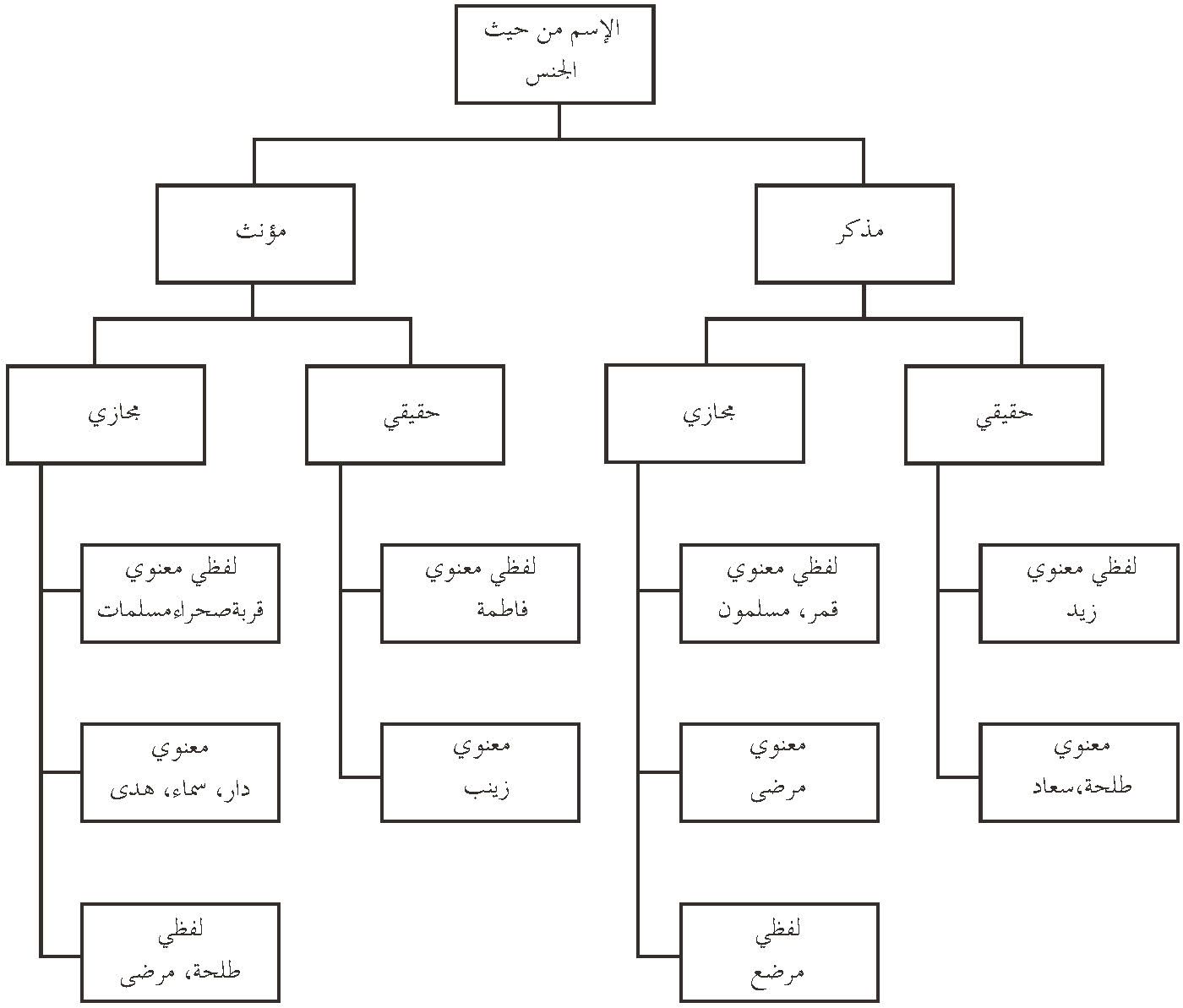 图1 阿拉伯语名词的性别划分