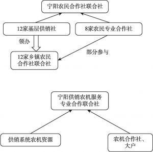 图2 宁阳县联合社结构示意图