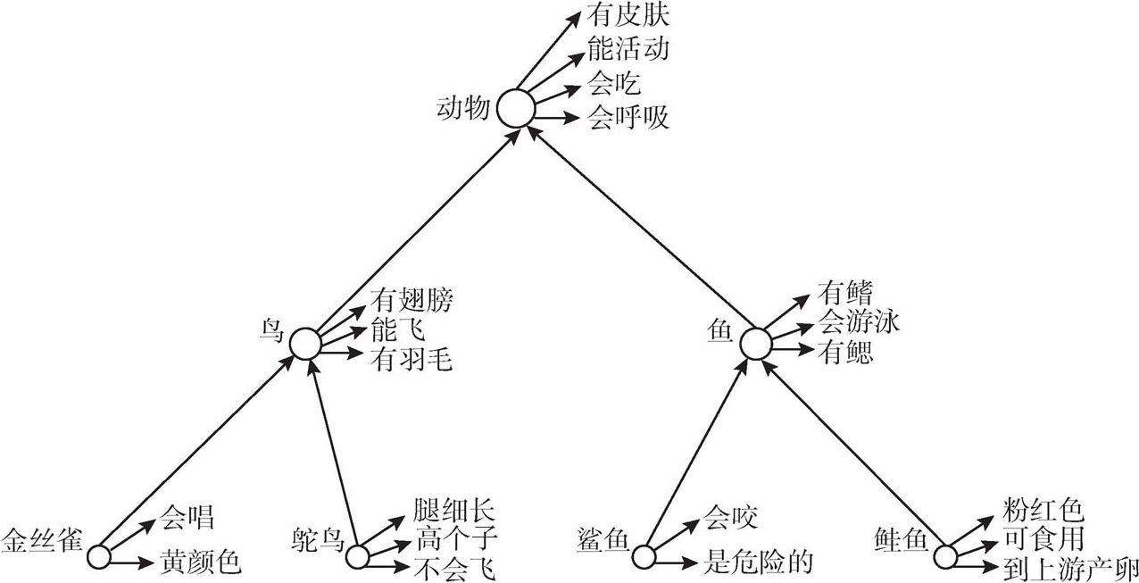 图5-1 概念的层次网络模型