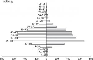 图6-2 外地流动人口的年龄金字塔