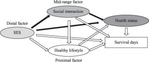 Figure 1-12 Hypothetical model of the mediating role of social interaction on SES-health status