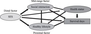 Figure 1-13 Hypothetical model of the SES-health mechanism by means of personal behaviors