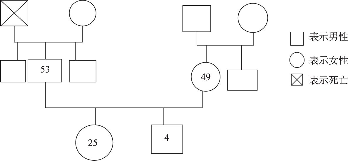 图1 服务对象家庭结构