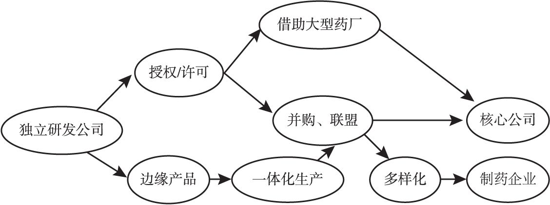 图9-6 独立研发公司的发展路径