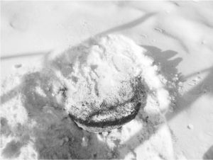 图3-9 雪中的打糕石