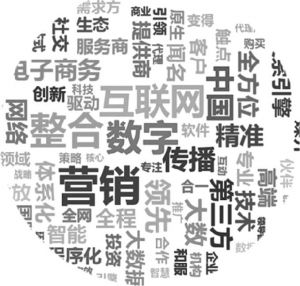 图6-5 2015年中国网络广告公司综合服务水平前五十位的广告公司价值定位词频