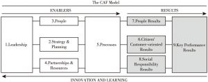 Figure 1 The CAF Model