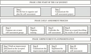 Figure 2 Ten steps of CAF implementation in the organization