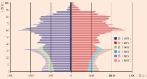 图7 2050年中国人口年龄结构预测