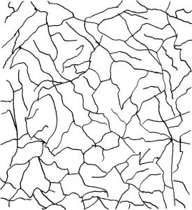 图2-4 根据使用和地形学绘制的小路