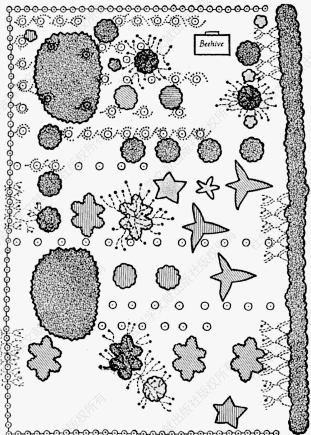 图8-3 埃德加·安德森绘制的危地马拉圣卢西亚（Santa Lucia）的一幅果园图