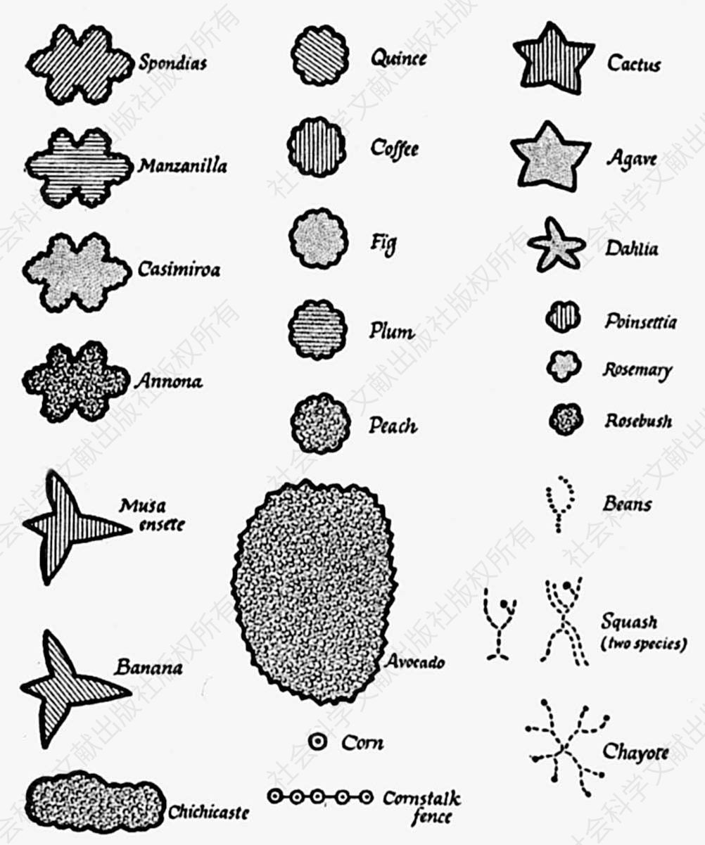 图8-4 在圣卢西亚的果园图中，安德森使用的图标不仅表示植物，也表示出它们的类别