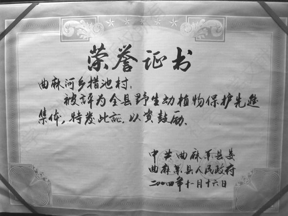 图10 2004年中共曲麻莱县委、县政府颁发给予措池村的荣誉证书