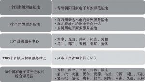 图4 青海省电子商务综合服务网络建设情况