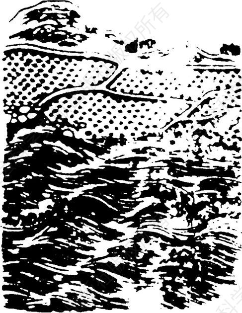 Illustration 3 Intertidal Field