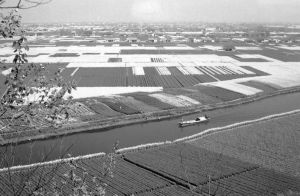 经过多年的改良、耕种，被围垦的土地逐渐成了钱塘江南岸的良田和湿地（董光中摄于1977年4月）