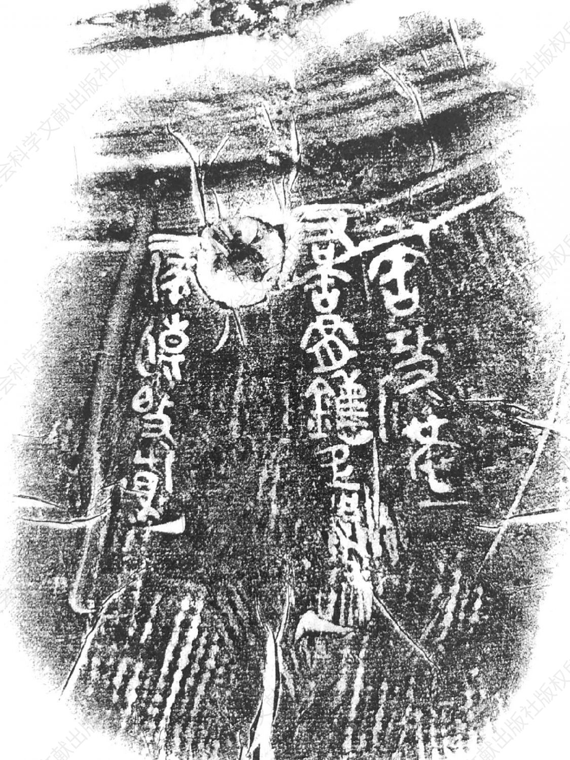 图3-4 右缶（陶）尹（钅舊）疋器鍴陶文拓片