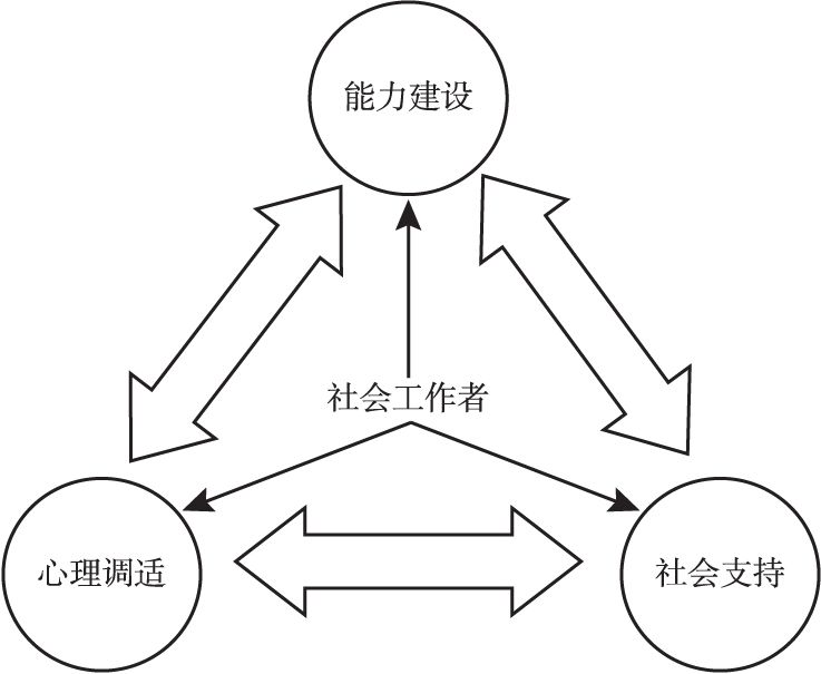 图1-4 综合发展的专业化策略的基本逻辑