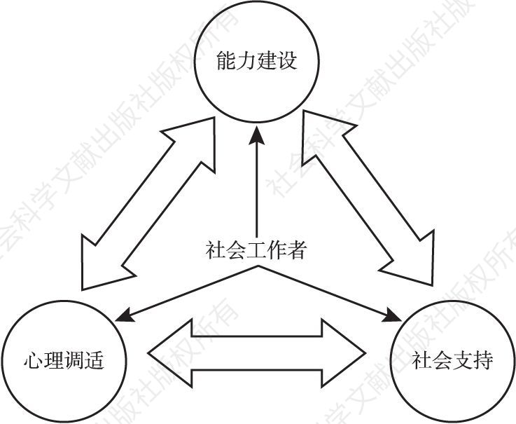 图1-4 综合发展的专业化策略的基本逻辑