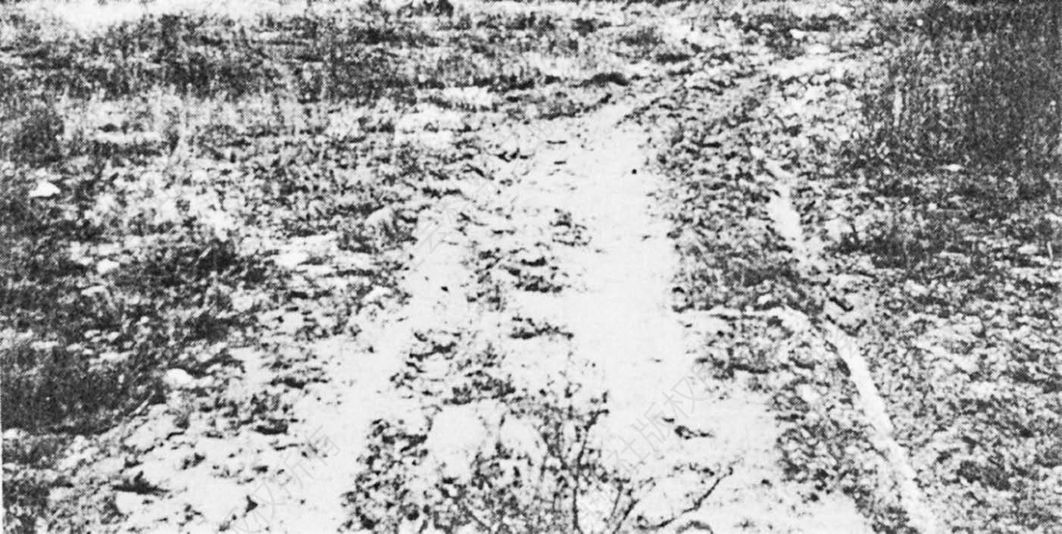 1962年中国边民逃苏时所轧出的马车路，路直通苏联霍尔果斯边卡南第一个瞭望台以南60～100米的口子。图上马车路的位置距该瞭望台约2公里