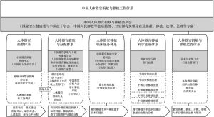 图1 中国人体器官捐献与移植工作体系
