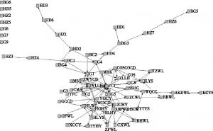 图4.4 集群2004年的知识网络结构