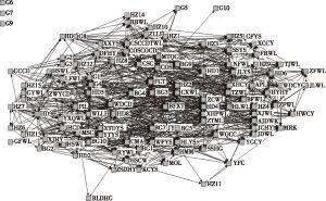 图4.6 集群2009年的社会网络结构