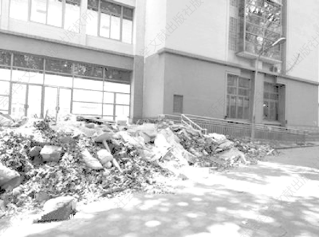图3 某大学外国语言文学学院的无障碍坡道被倾倒的垃圾堵塞