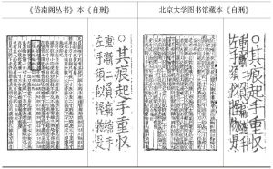 图6 《岱南阁丛书》本与北京大学图书馆藏本的联系之二