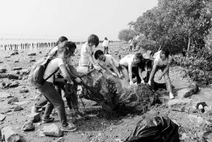 志愿者齐心协力清除巨大的废渔网