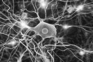 图1 大脑神经元突触模拟