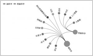 图4 中国人脑计划