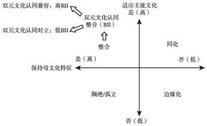 图2 从文化适应策略到双元文化认同整合